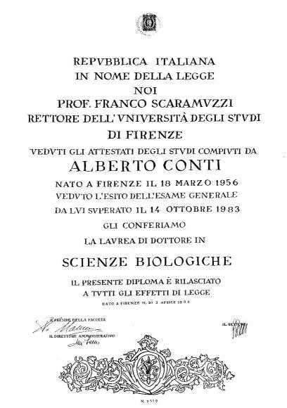 laurea.jpg (50642 byte)
