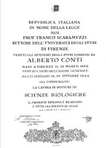 laurea thumb.jpg (8384 byte)